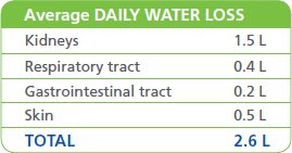 table-average-daily.jpg